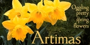 Artimas font download