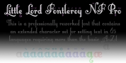 Fontleroy NF Pro font download