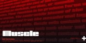 Muscle font download