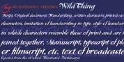 WildThing font download