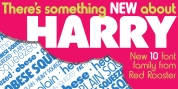 Harry Pro font download