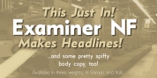 Examiner NF font download