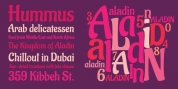 Aladin Pro font download