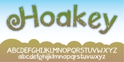 Hoakey font download