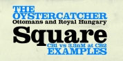 Squarendon font download