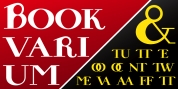 Bookvarium Roman font download