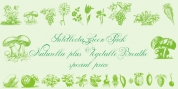 Vegetable Breath font download