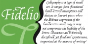 Fidelio ND font download