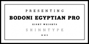 Bodoni Egyptian Pro font download