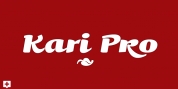Kari Pro font download