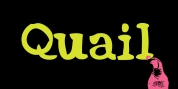 Quail font download