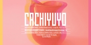Cachiyuyo font download