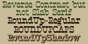 Roundup font download