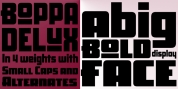 Boppa Delux font download