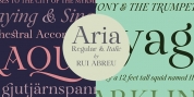 Aria Pro font download