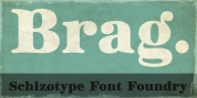 Brag font download