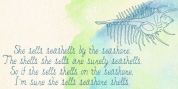 Seashells font download