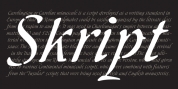 Skript font download