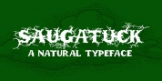 Saugatuck font download