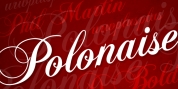 Polonaise font download