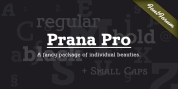 Prana Pro font download