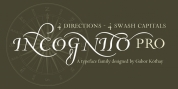 Incognito Pro font download