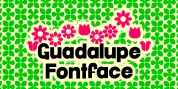 Guadalupe font download