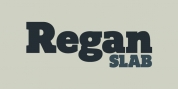 Regan Slab font download