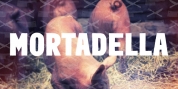 Mortadella font download