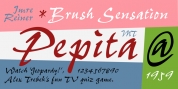 Pepita font download