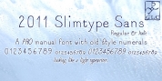 2011 Slimtype Sans font download