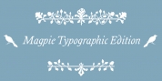 Magpie Typo font download