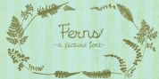 Ferns font download