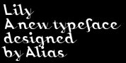 Lily font download