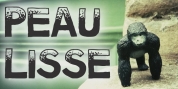 Peau Lisse font download