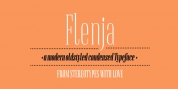 Flenja font download