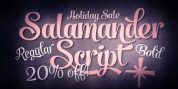 Salamander font download