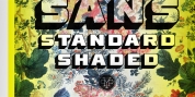 Standard Shaded Sans font download