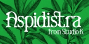 Aspidistra font download