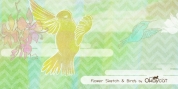 Birds font download