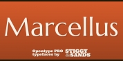 Marcellus Pro font download