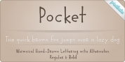 Pocket Px font download