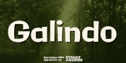 Galindo Pro font download
