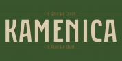 Kamenica font download