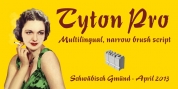 Tyton Pro font download