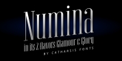 Numina font download