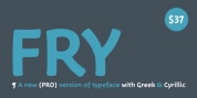Fry Pro font download