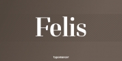 Felis font download