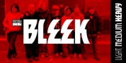 VLNL Bleek font download