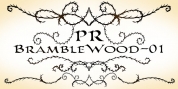 PR Bramble Wood 1 font download